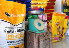 New Premium Dog Food Store in Vientiane