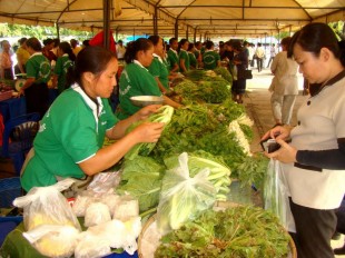 Organic Market Opens in Vientiane